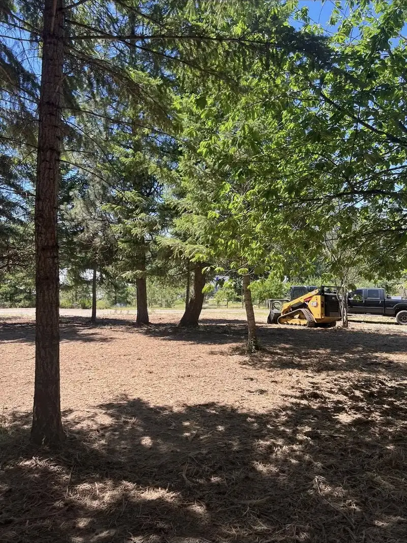 Cleared wooded lot with mulch ground cover and machine in background