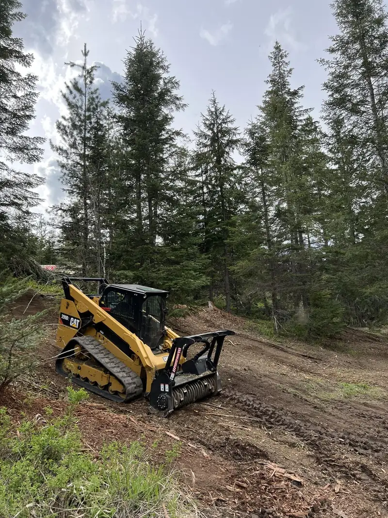CAT tracked mulcher with forestry mulching head working a wooded hillside